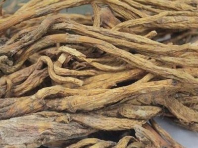 迪庆秦艽种植基地供应量8吨图2