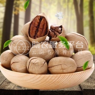 大理永平碧根果种植专业合作社供应量2吨图4