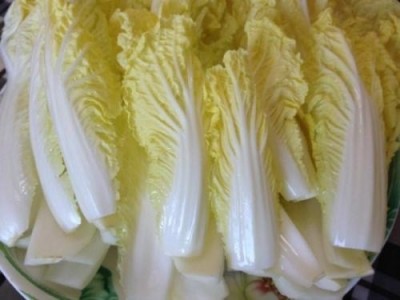 大理弥渡蔬菜种植专业合作社供应量4吨图3