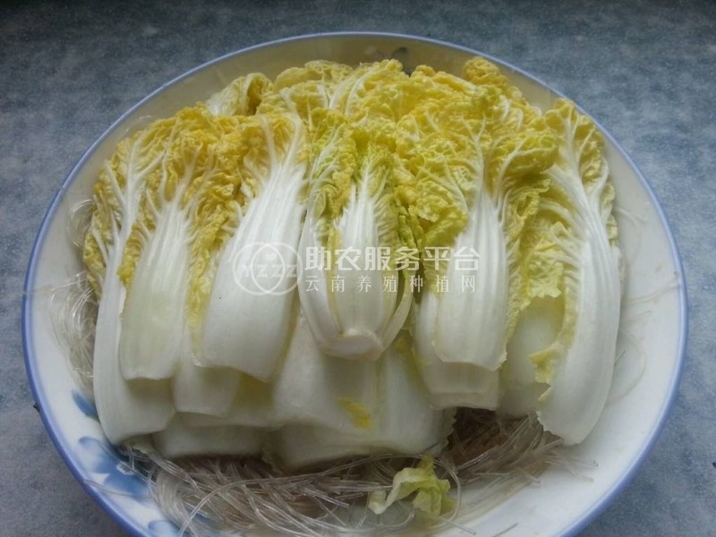 大理弥渡蔬菜种植专业合作社供应量4吨图4