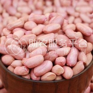 楚雄花生种植专业合作社供应量6吨图5