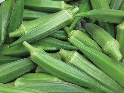昆明秋葵种植基地供应量9吨图2