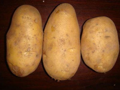 红河迤萨镇土豆种植中心 供应量15吨图2