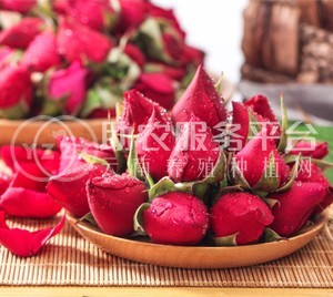 红河适用玫瑰花苞种植基地 3000株图2