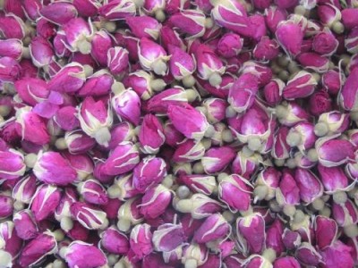 红河适用玫瑰花苞种植基地 3000株图7