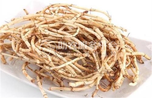 红河乐育折耳根种植中心 供应量1吨图3