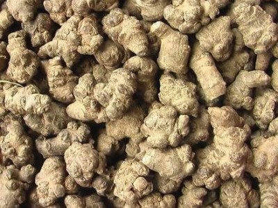丽江格林恒信三七种植基地 供应量2吨图4
