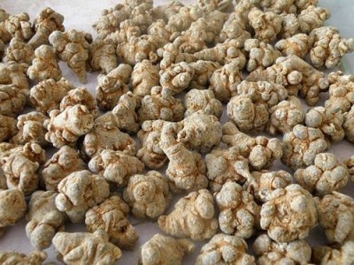 丽江格林恒信三七种植基地 供应量2吨图2