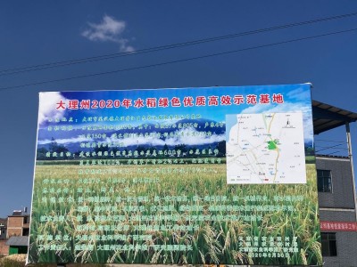 大理荣江农业生态园示范基地供应量10吨