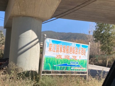 大理荣江农业生态园示范基地供应量10吨图3